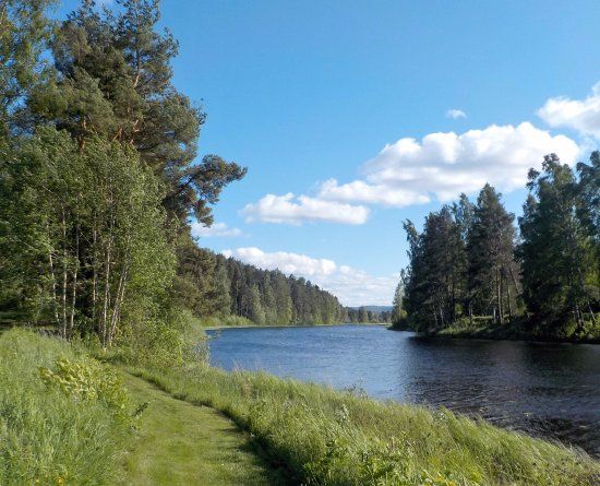 Kyrkons naturreservat